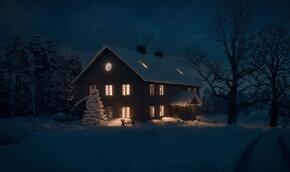 Myši v akci: Vánoční past