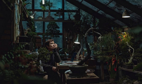 Není jiná možnost