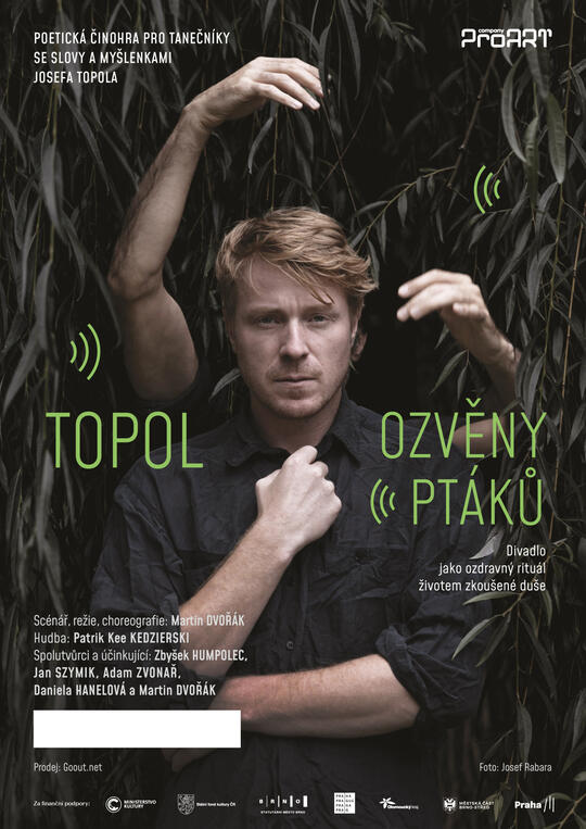 ProART Festival: Ozvěny ptáků